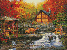 Load image into Gallery viewer, the colours of life preview by create love share and chuck pinson