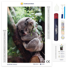 Load image into Gallery viewer, Sleeping Koala - Beginner&#39;s Diamond Painting Art Kit Create Love Share 

