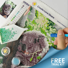 Load image into Gallery viewer, Sleeping Koala - FREE Diamond Painting Art Kit for Beginners or Kids Create Love Share 
